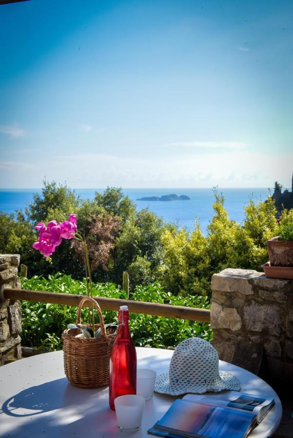 Villa Punta Del Sole Positano Eksteriør bilde